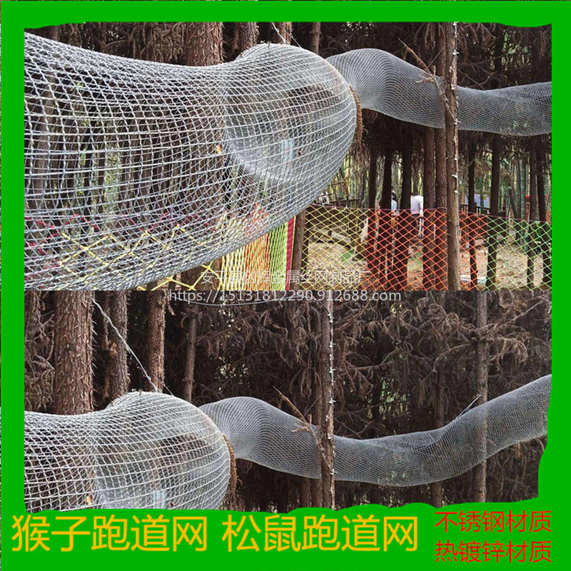 不锈钢松鼠运动跑步笼松鼠金属网技术指导图片